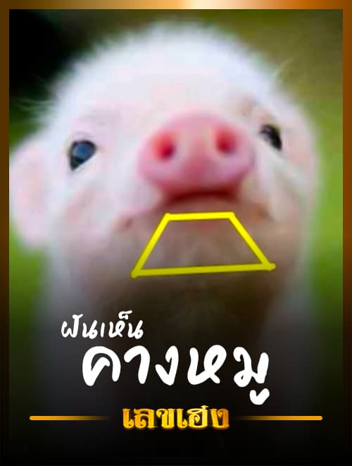 คางหมู