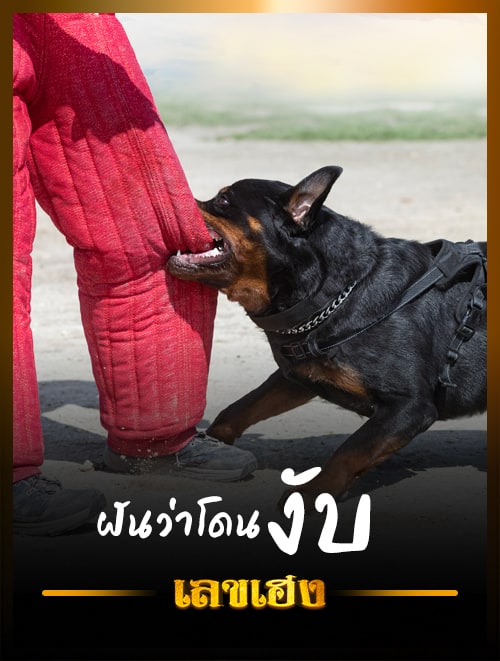 งับ