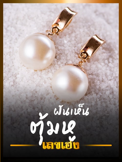 ตุ้มหู