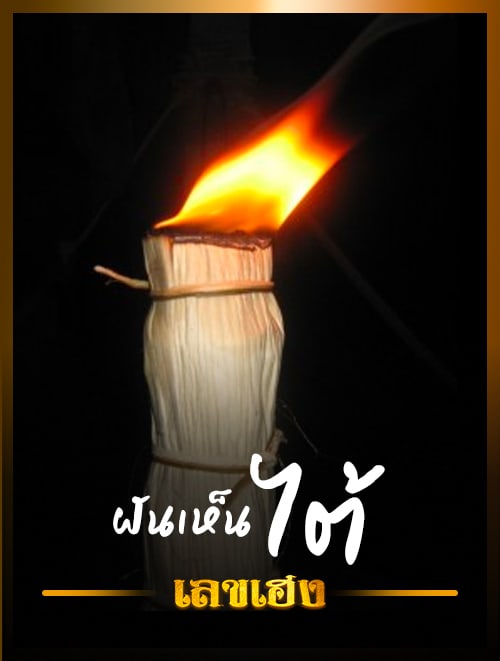 ไต้