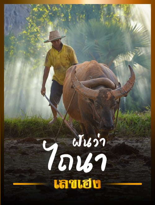 ฝันว่าไถนา