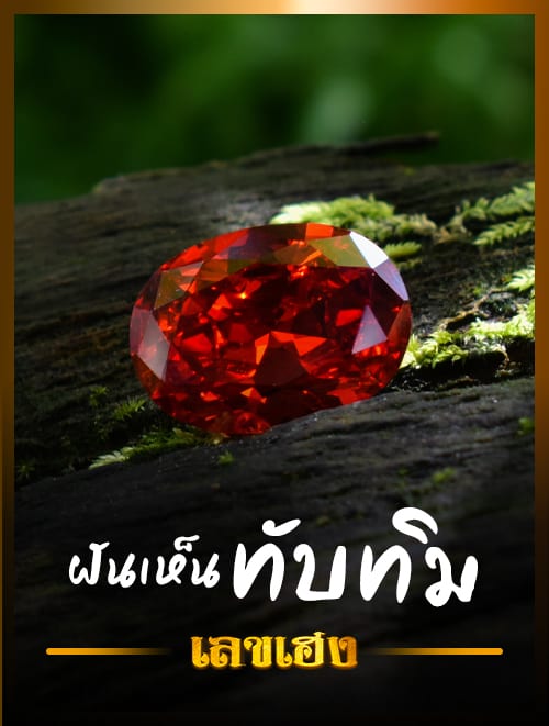 ฝันเห็นทับทิม