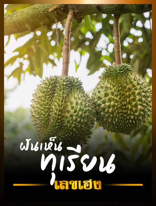ฝันเห็นทุเรียน