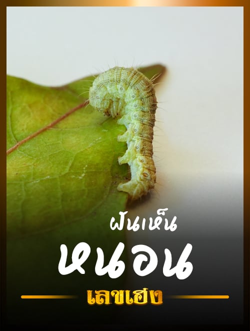 ฝันเห็นหนอน
