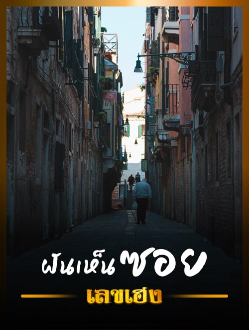 ฝันเห็นซอย