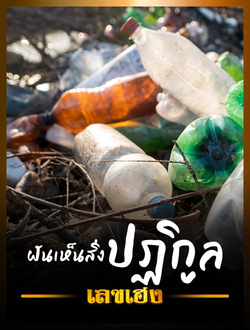 ฝันเห็นปฏิกูล